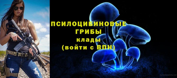 а пвп мука Балахна