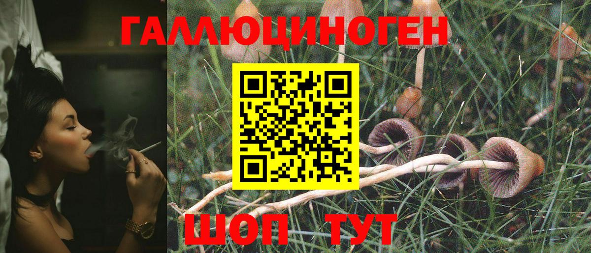 Псилоцибиновые грибы GOLDEN TEACHER Барабинск