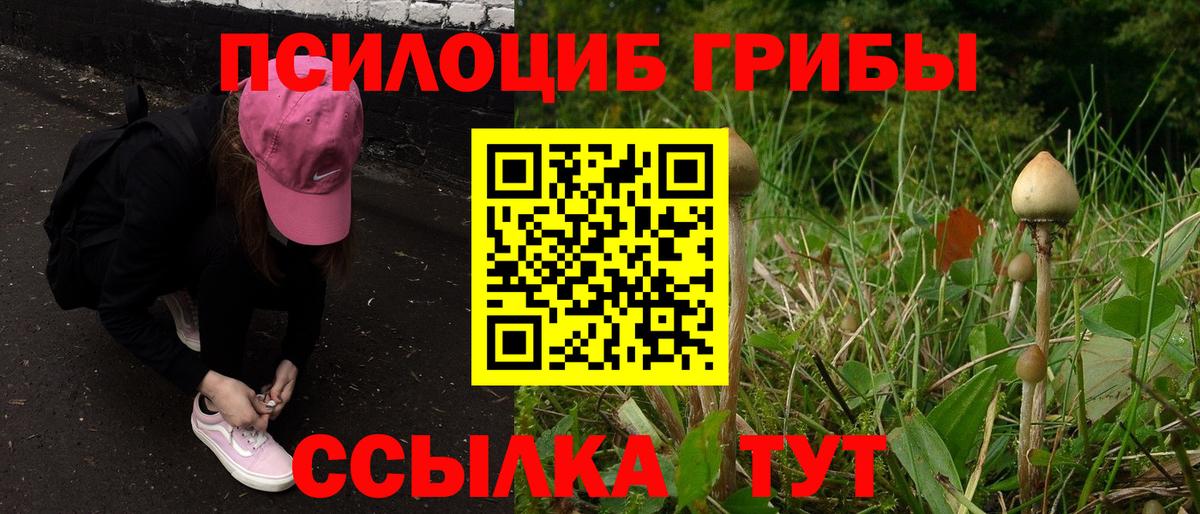 закладка  Вход с VPN  Галлюциногенные грибы мухоморы  Барабинск  Галлюциногенные грибы GOLDEN TEACHER 
